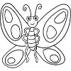 butterfly, insect, gift, gift idea