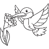 Hummingbird, bird, gift, gift idea