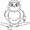 Owl, bird, gift, gift idea
