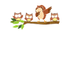 Be Different Dabbing Owl
