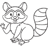 Raccoon, raccoons, gift, gift idea