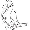 Parrot, bird, gift, gift idea