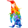 Pinguin Splash Art Arktis Eis