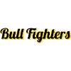 Bull Fighters
