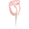 Merch Rose dorée