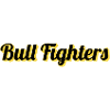 Bull Fighters