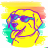 Labrador mit Sonnenbrille