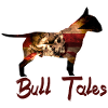 Pit Bull, American Staff