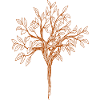TANZBAUM