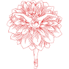 fleur danseuse rouge