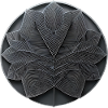 Linear Leaf Nocturnal