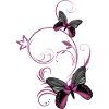 Two stylized butterflies