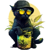 Cool Cat
