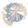 Rikle's Yoga Design