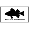 Barsch schwarz latein