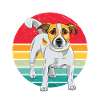 Jack Russel Terrier