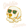 Golden Retriever Goldie Lover