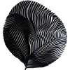 Black and White Ribate Spiral