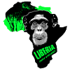 Liberia Chimpanzee