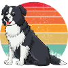 Border collie Retro 2