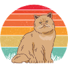 Chat persan rétro