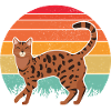 Chat BENGAL rétro