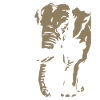 Togo - Elephant