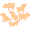 Five pigs and two piglets