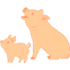 Mère cochon avec porcelet