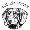 Brandelbracke Portrait