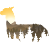 Llama