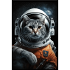 Cat Astronaute Espace Espace Cool