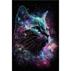cat galaxy space space stars
