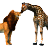 Léo embrasse la girafe