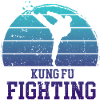 Kung Fu Retro