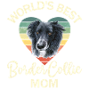 Hund Border Collie