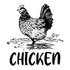 I Love My Chicken