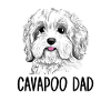 cavapoo dad, cavapoo