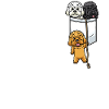 Cockapoo Dog In Bag