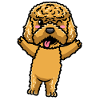 Kawaii Cockapoo Dog Emoticon