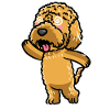 Kawaii Cockapoo Dog Emoticon