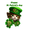 Cute kitten celebrates St. Patrick's Day