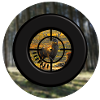 A deer through the scope