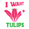 Tulipes Tulipes mignonnes