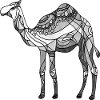 Camel