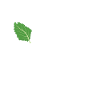 Kale Slogan Shirt