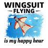 Wingsuit flying Base Jumping Skydiving Wingsuiting