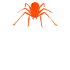 Spider Lover Gifts