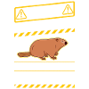 Warning Groundhog Day Woodchuck