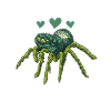 Spider Lover Gifts